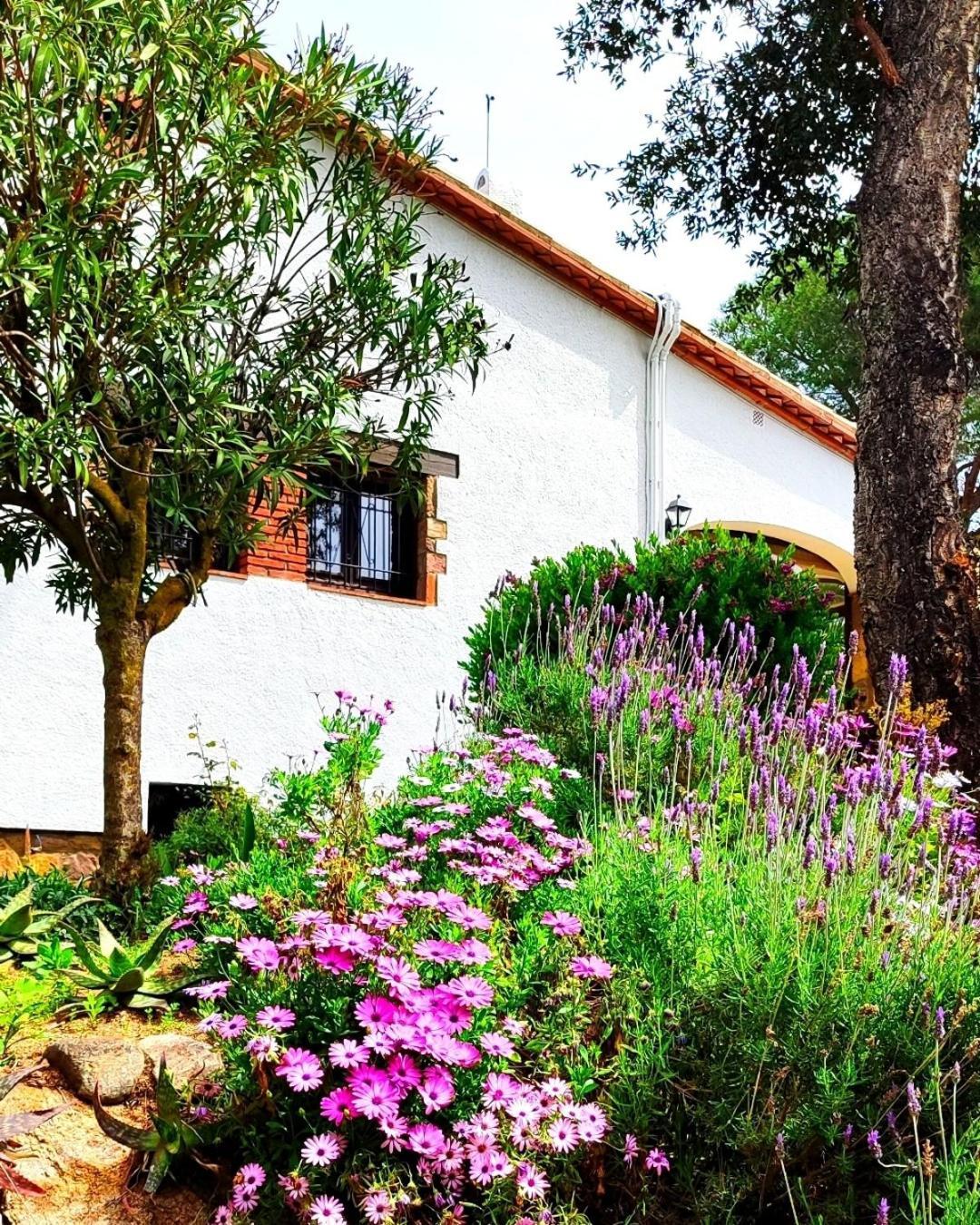 Villa Boheme Costa Brava カロンジェ エクステリア 写真